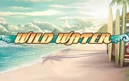 Играть в Wild Water