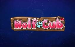 Играть в Wolf Cub